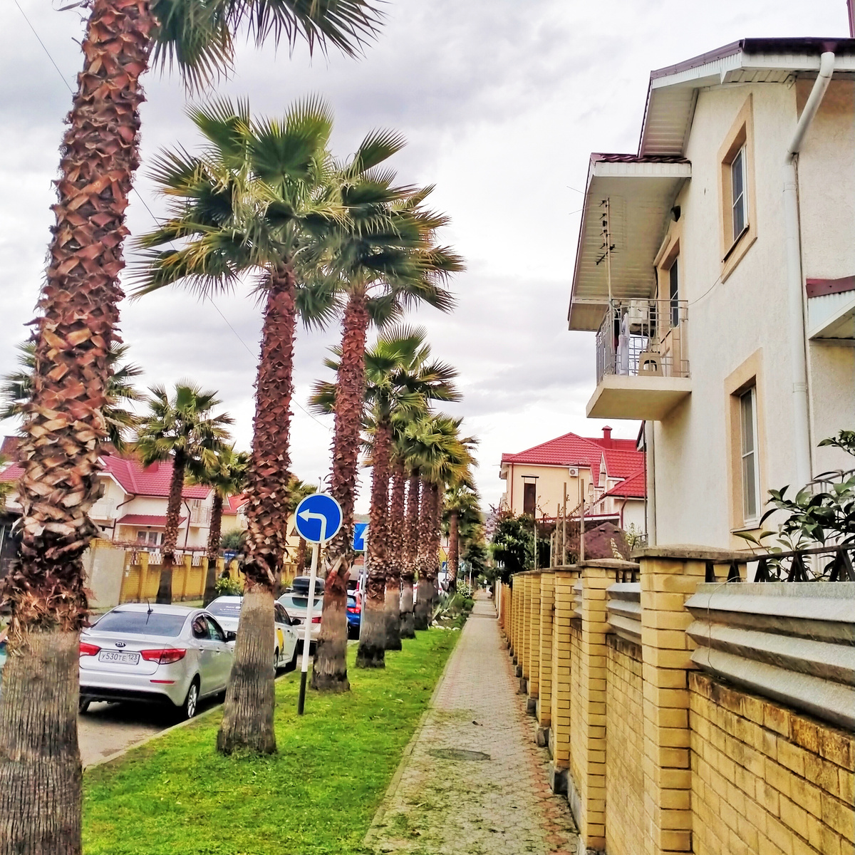 Адлер, который местами очень похож на Турцию.