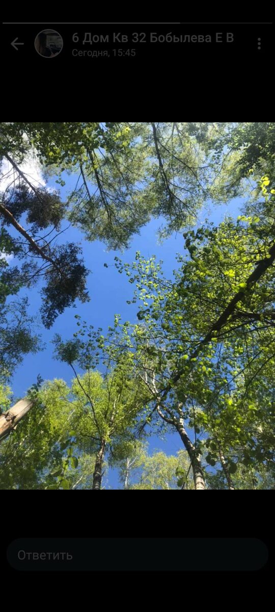 Бездонный колодец вся синего неба. Авторское фото