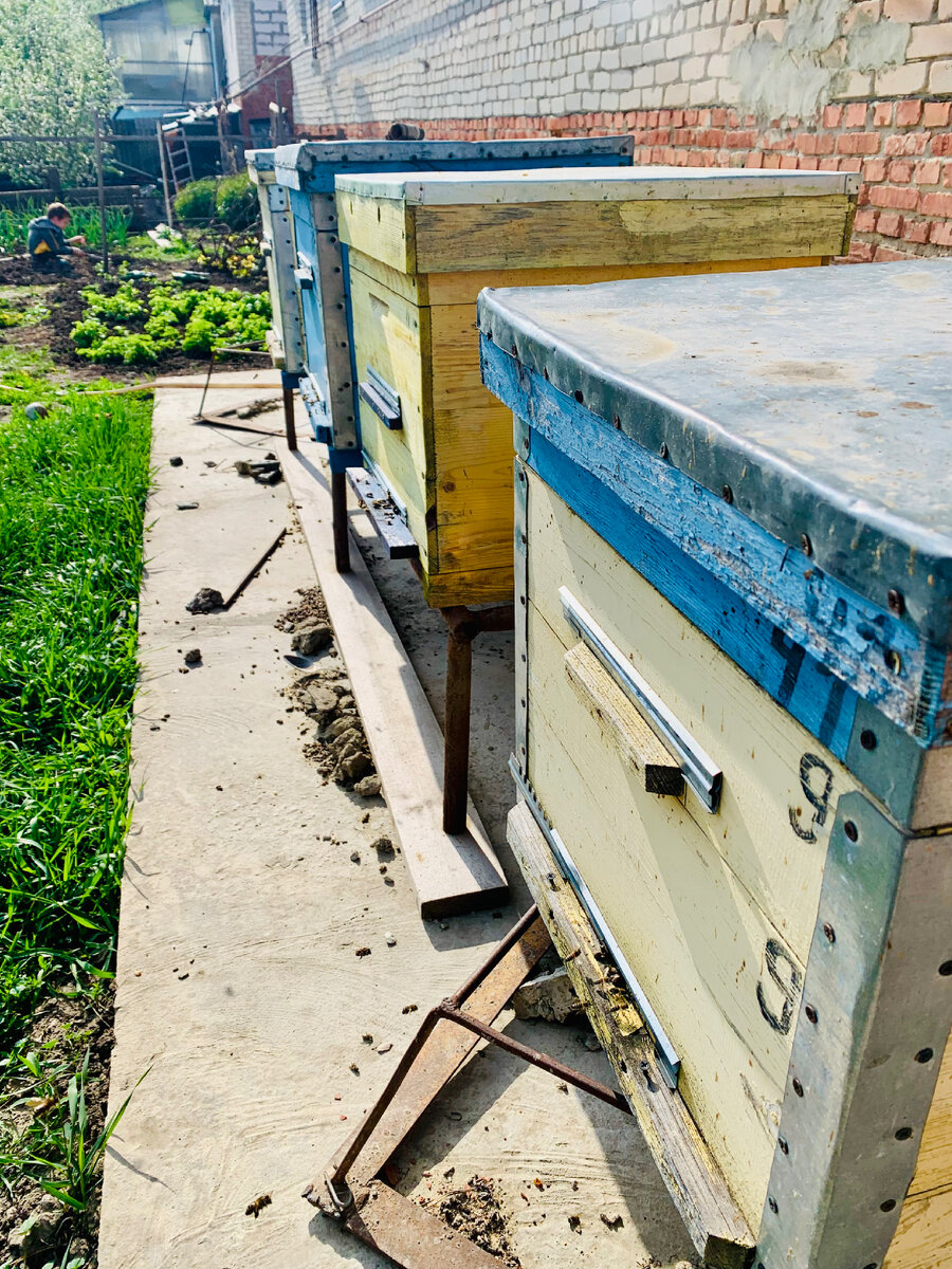 Ждут выезда