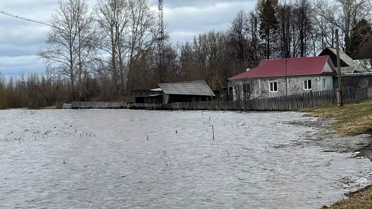     Автор: Алексей Ромахин