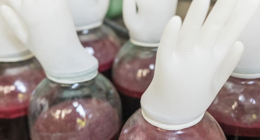 Как сделать брагу за сутки?