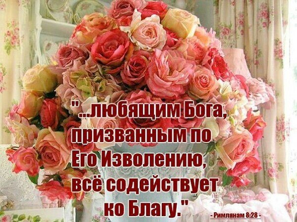 Источник: Яндекс. Картинки