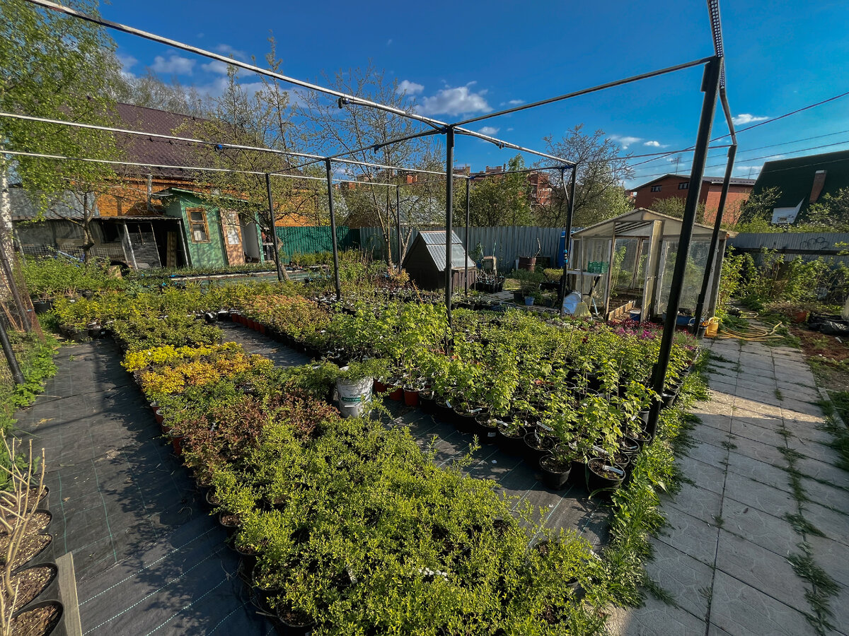 Наша новая площадка с поливом!