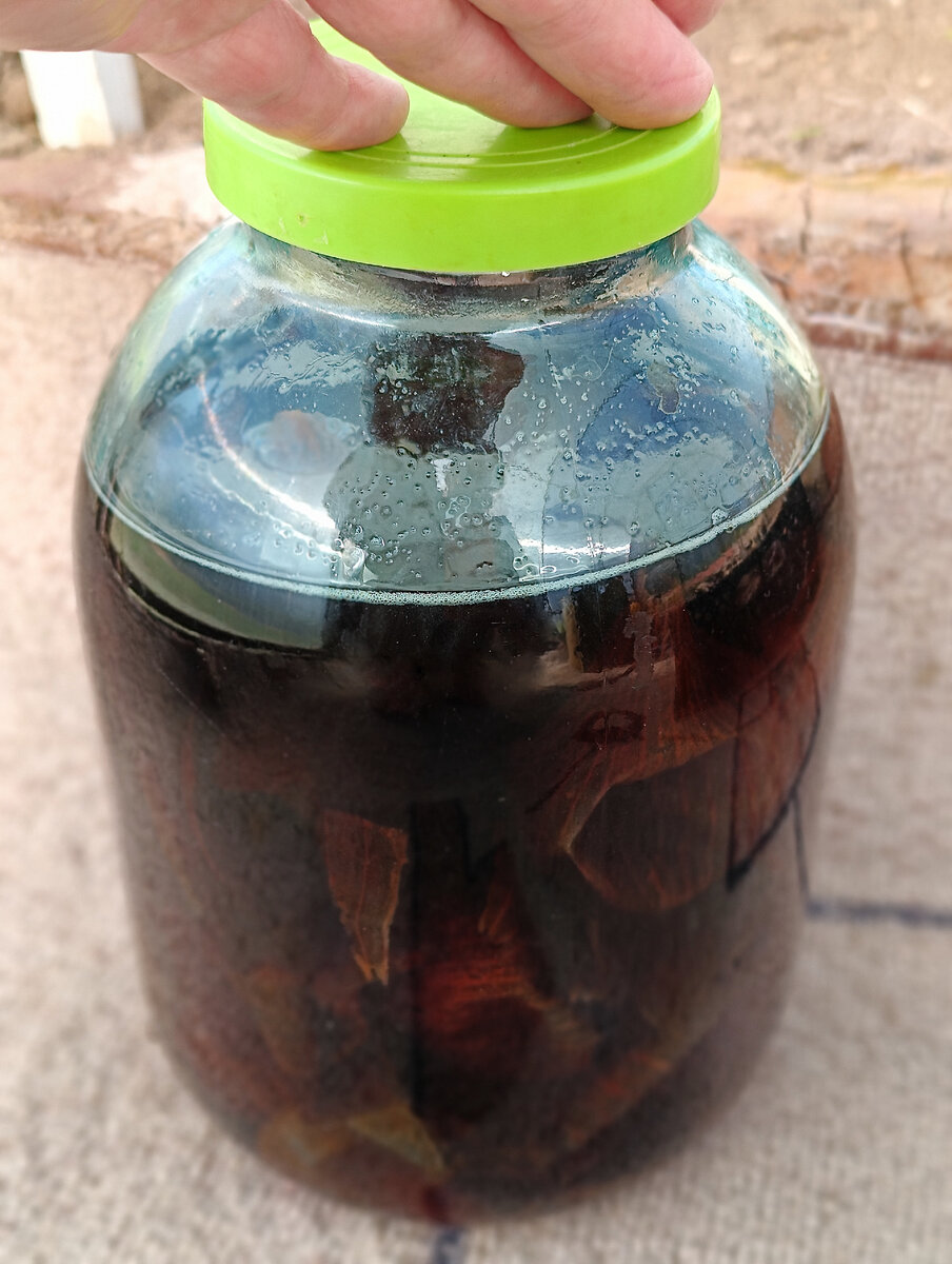 луковая настойка