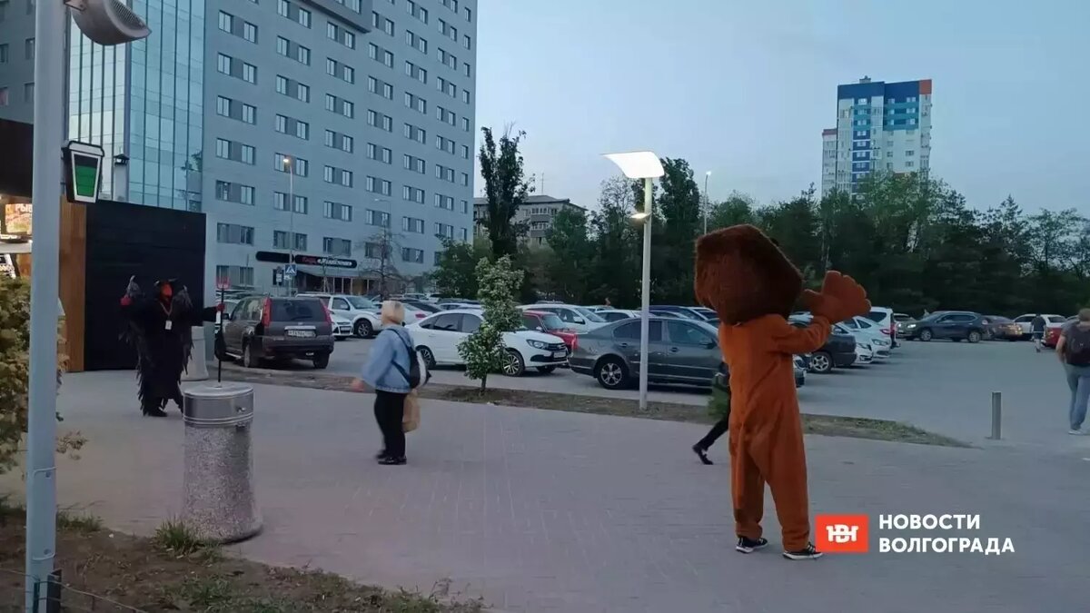     Источник: novostivolgograda.ru