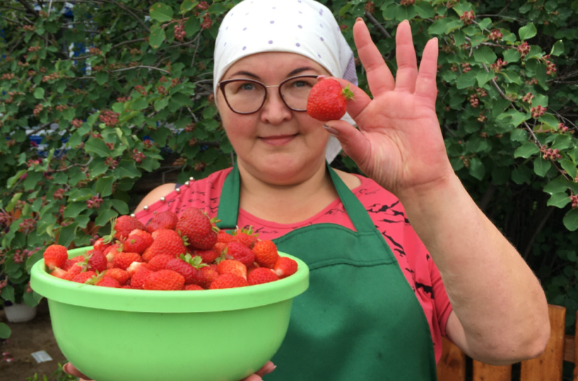 Две обработки для земляники, которые нужно провести в мае