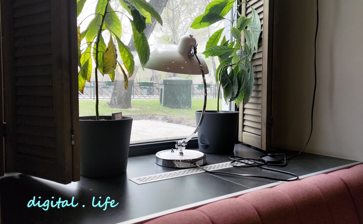 Конец недели. Фото автора