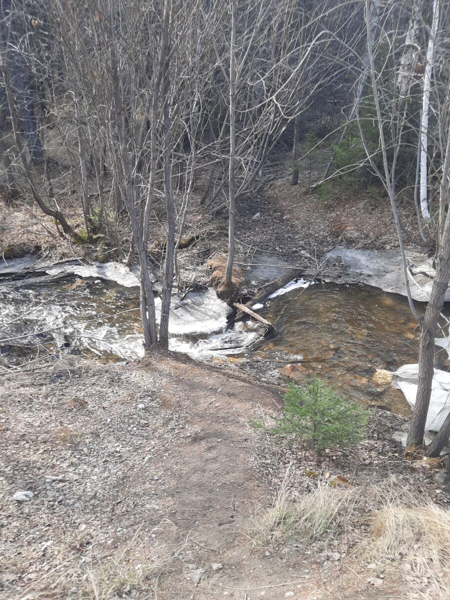 Фото автора. А с другой стороны такой...