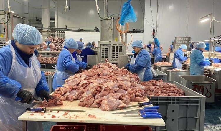    Группа компаний Индеаль отправила первую партию мяса индейки в ОАЭ