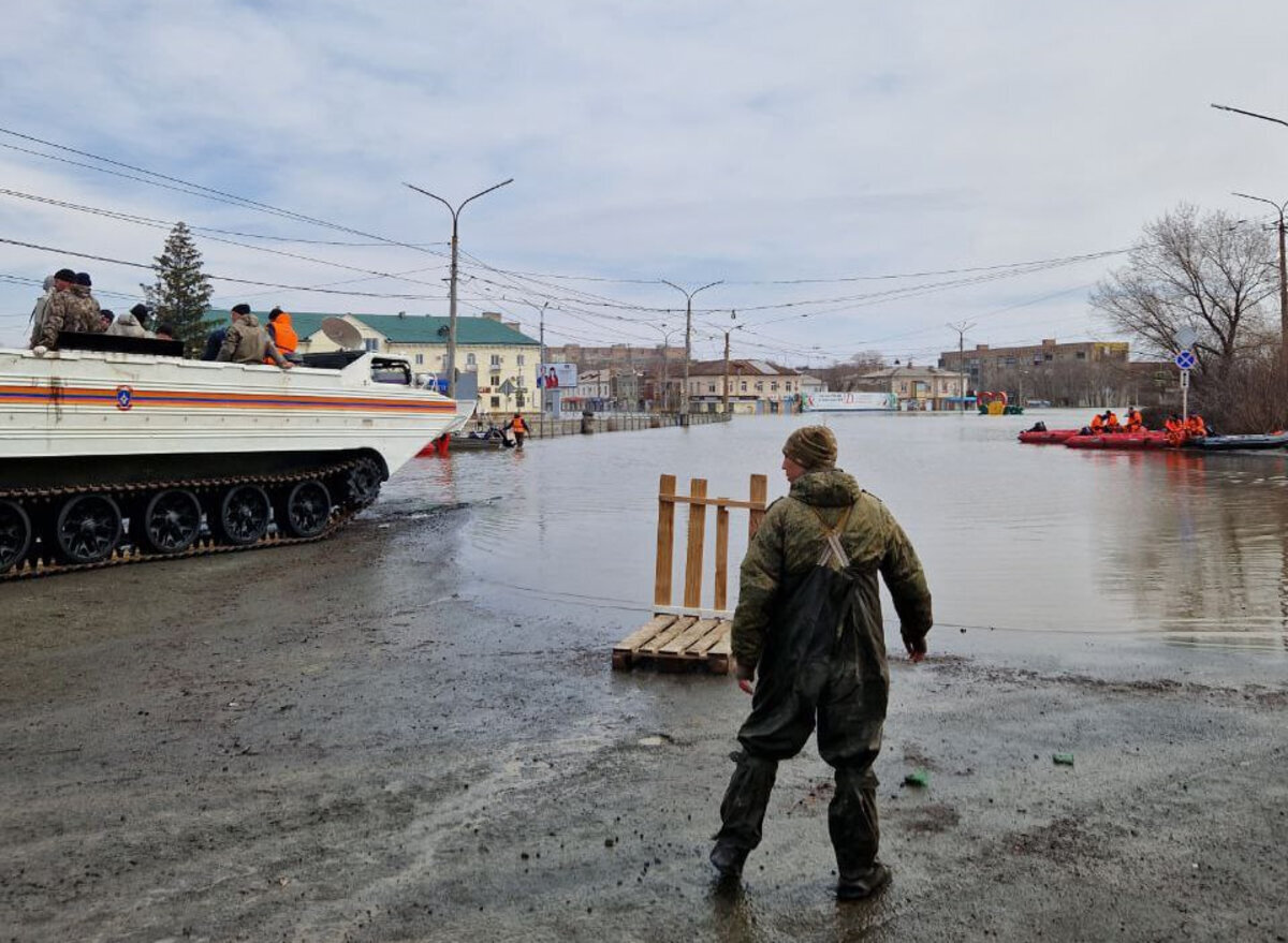 Коты в воде: приехавший из Донецка приют «Кошкин Дом» спасал животных в  затопленной Оренбургской области | Readovka.news | Дзен