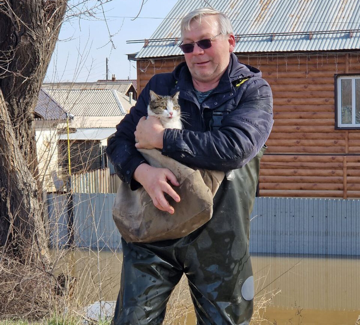 Коты в воде: приехавший из Донецка приют «Кошкин Дом» спасал животных в  затопленной Оренбургской области | Readovka.news | Дзен