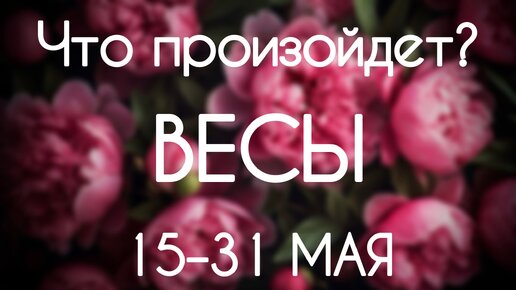 Весы ♎️ Что произойдет в период с 15 по 31 Мая 2024. Таро-гороскоп