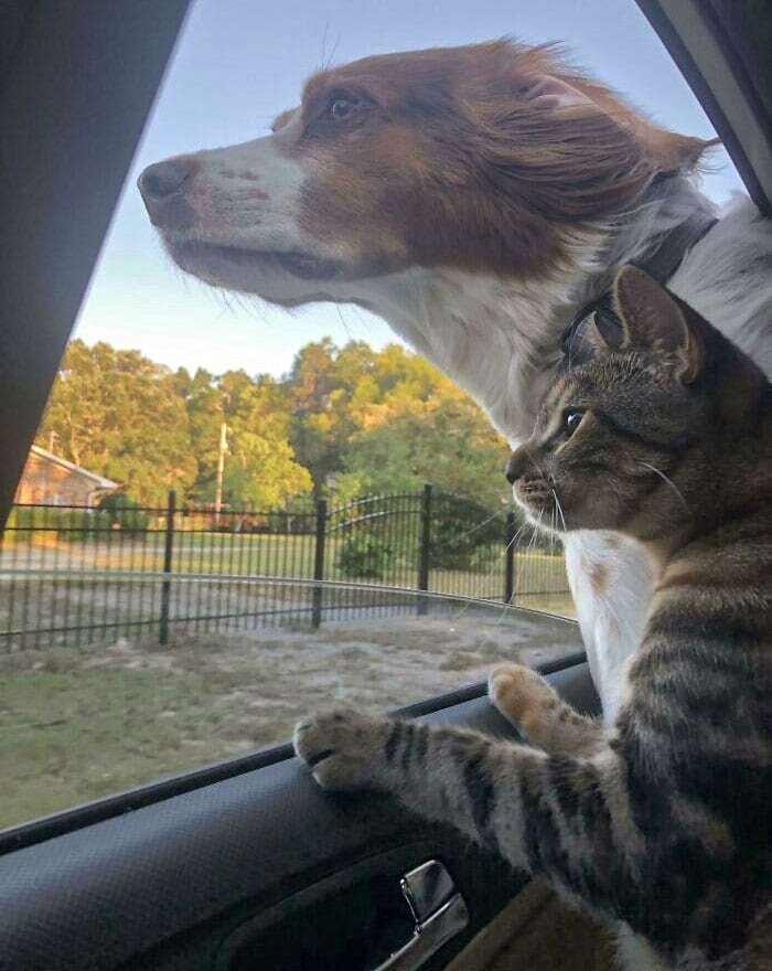 Источник: healrum/reddit