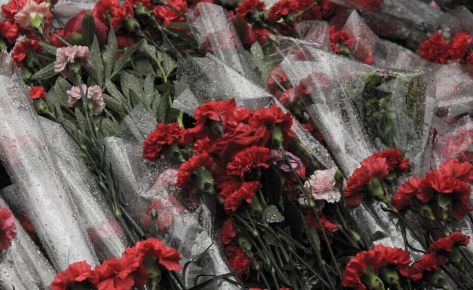    Гвоздики у мемориала памяти/pxhere.com