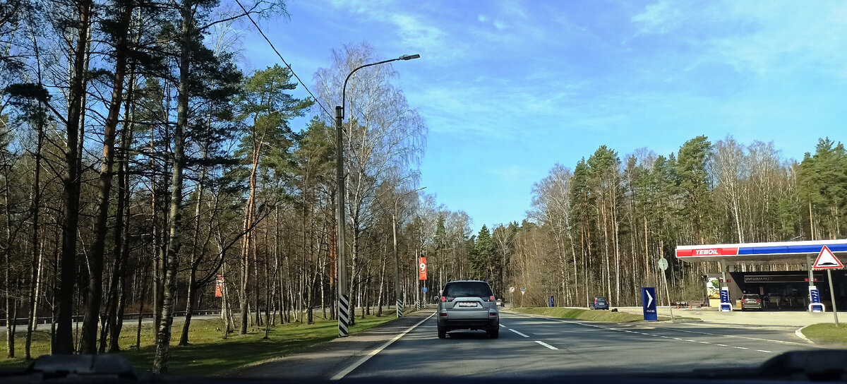 Трасса в районе поселка Ольгино