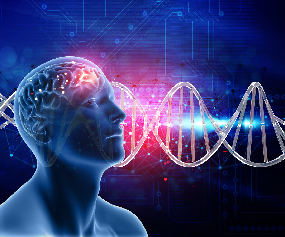 <a href="https://ru.freepik.com/free-photo/3d-medical-background-with-male-head-and-brain-on-dna-strands_1218628.htm#fromView=search&page=1&position=7&uuid=bd7e9032-94e4-4224-acdf-2d7dbe8eac6a">Изображение от kjpargeter на Freepik</a>