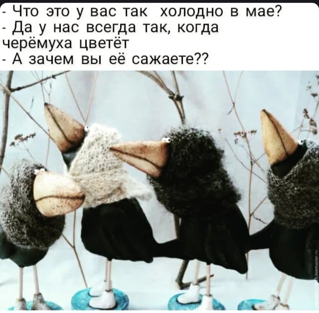 Из Интернета