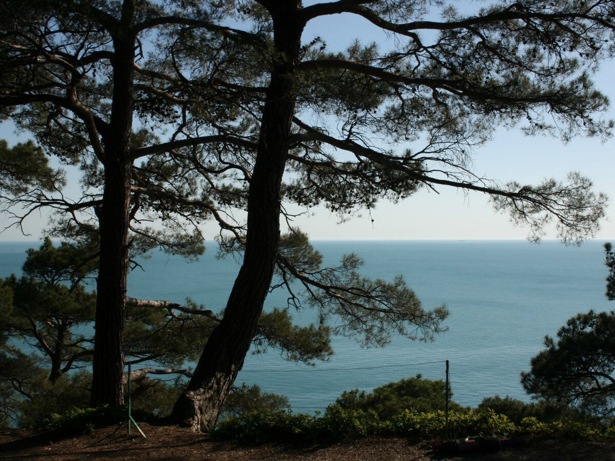 В Геленджик сейчас нельзя добраться самым быстрым способом — на самолёте. Поэтому придётся приложить некоторые усилия, чтобы доехать сюда. Но помните, что всё не зря — вас ждёт уютный городок, хвойный лес и дикие пляжи