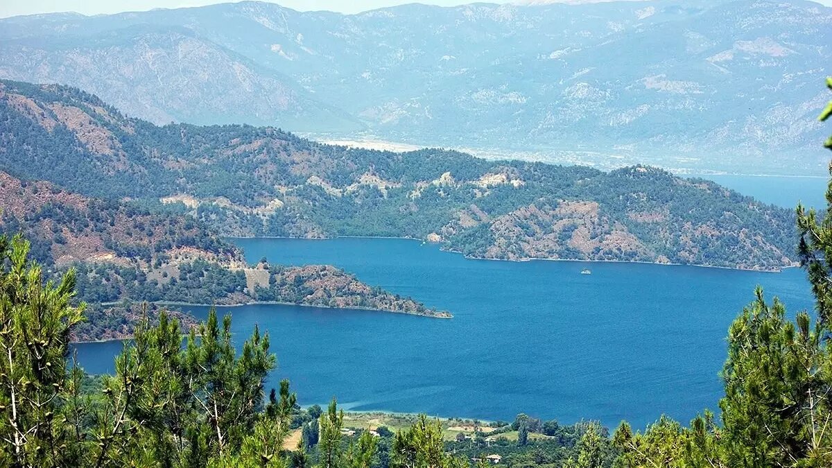     Источник: Tripadvisor