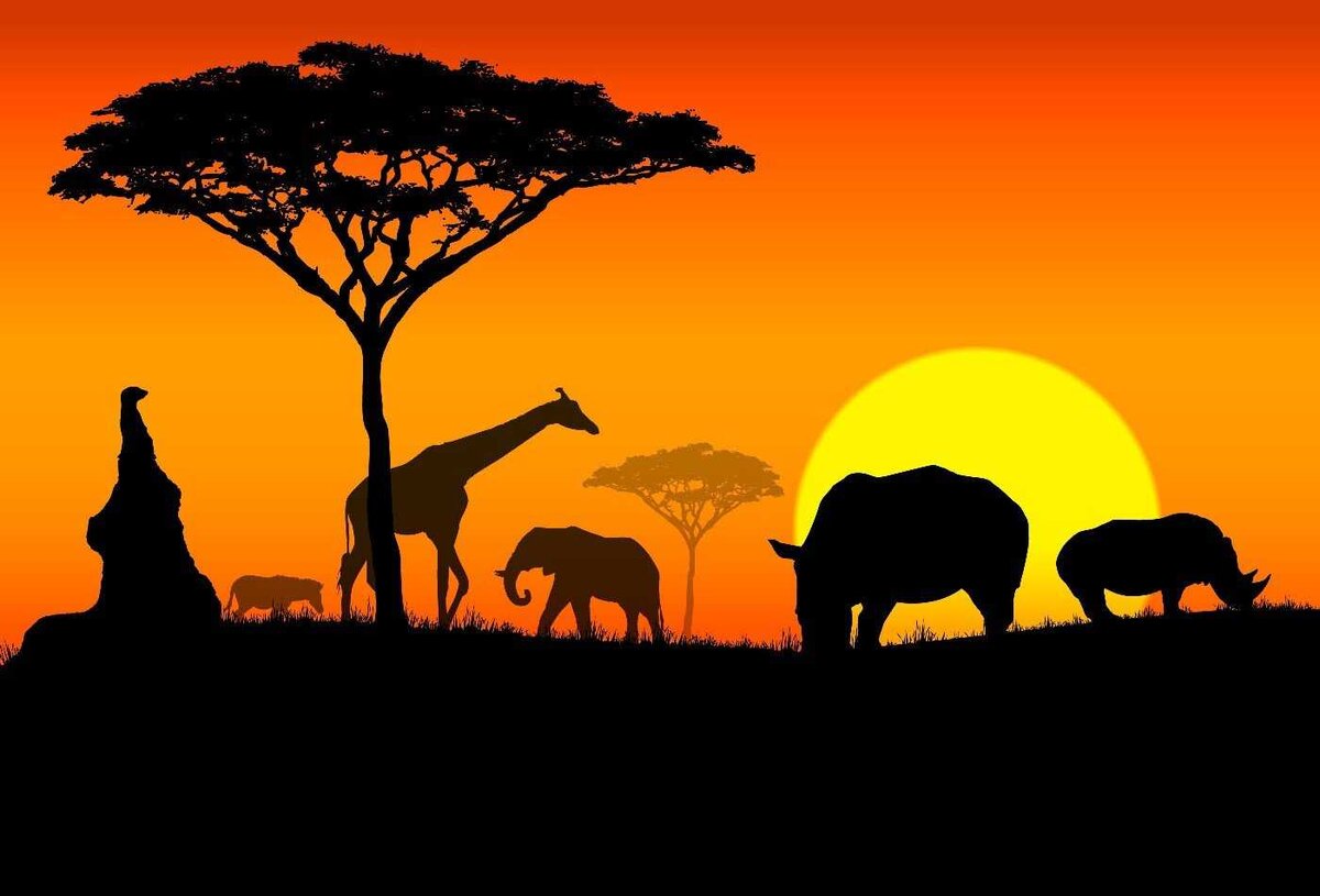  Африка – это континент, который занимает почти 20% всей суши на Земле и является домом для более чем миллиарда человек.