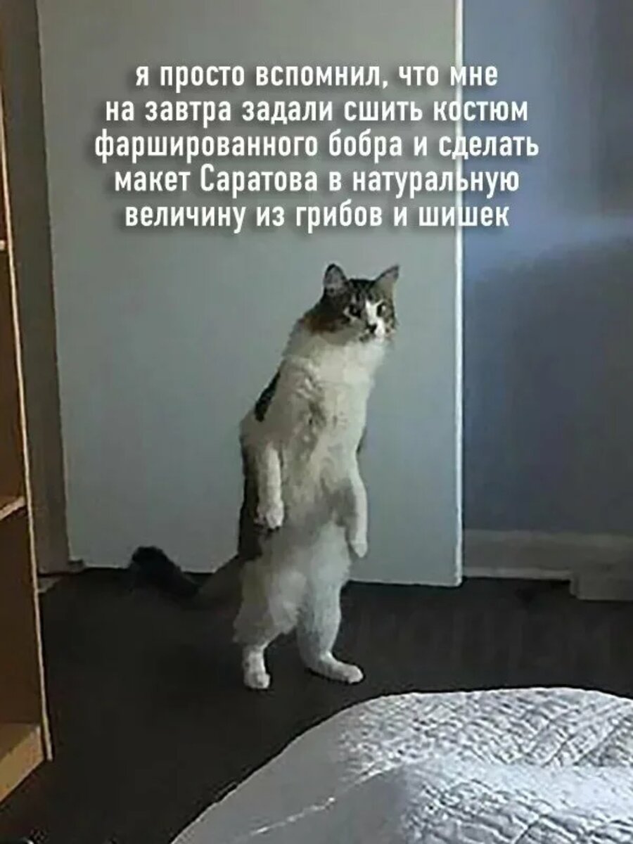 Фото с просторов интернета.