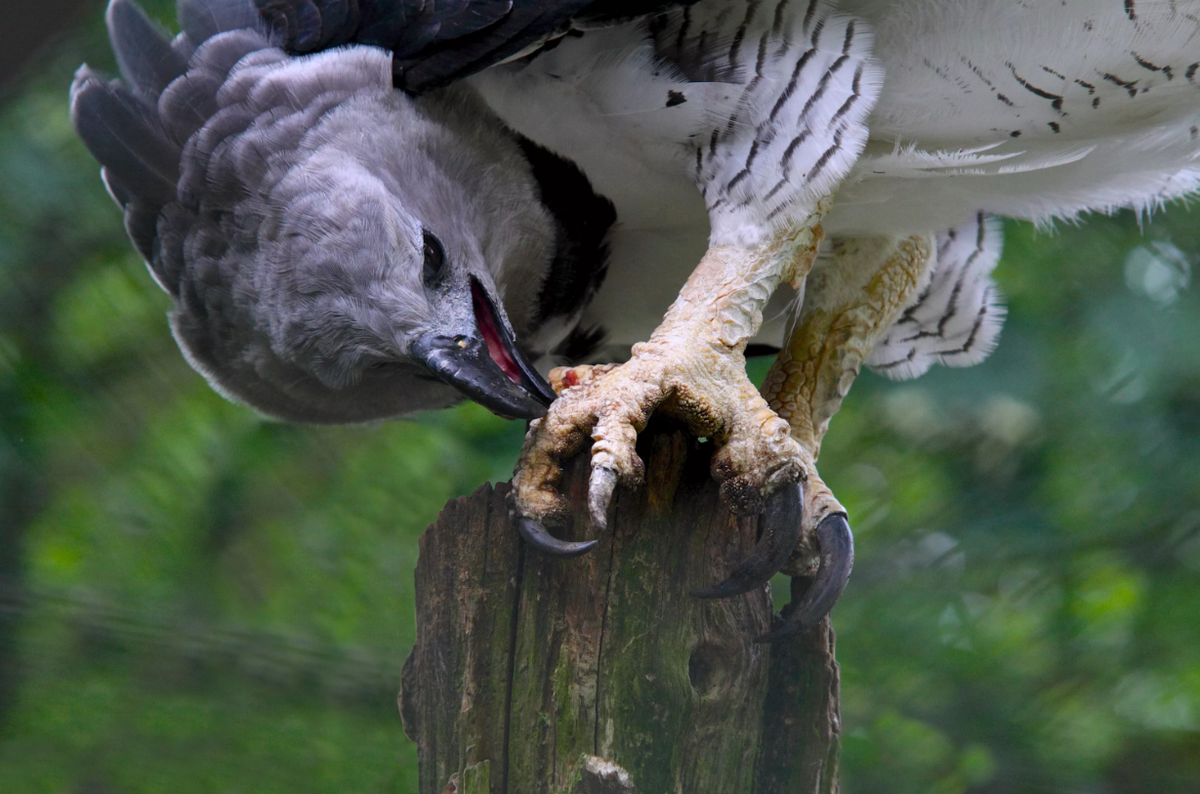 Фото из интернета