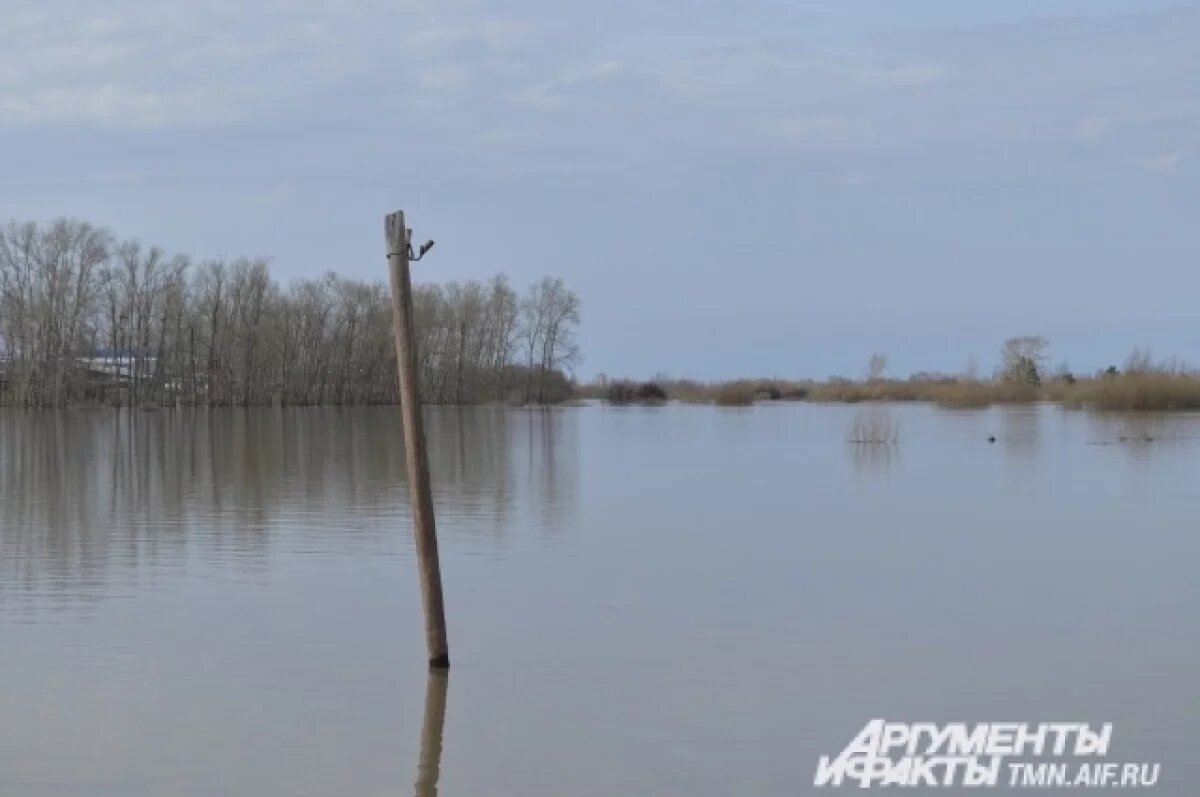    В Тюменской области из-за паводка планируется уменьшение посевных площадей