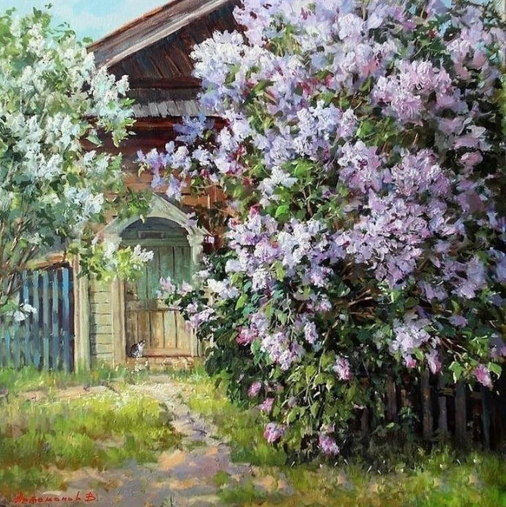 Сирень под окном моя главная любовь. 