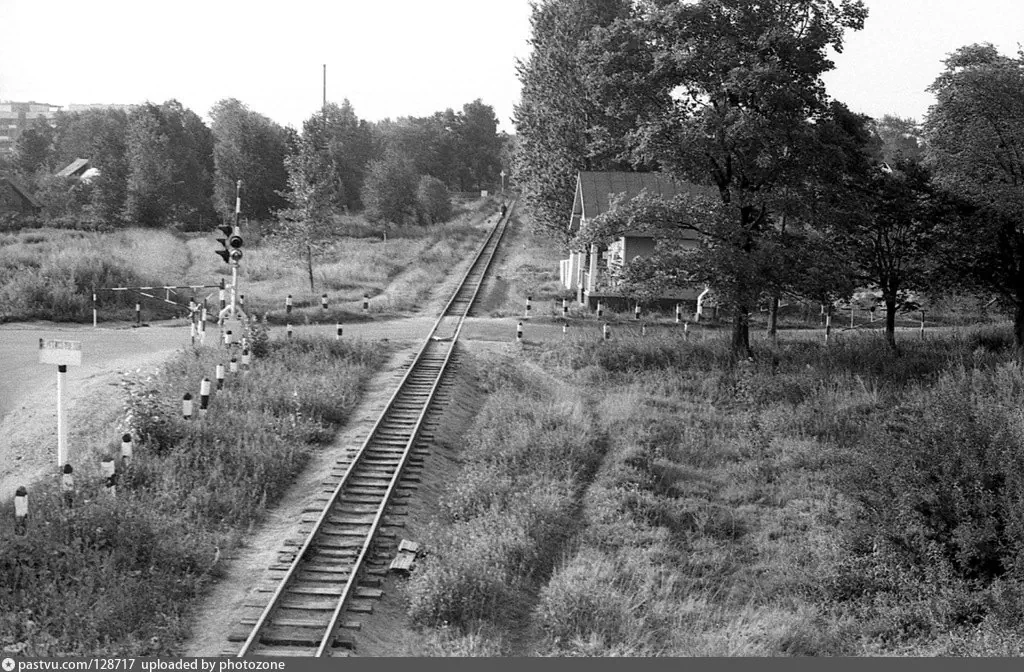 С яндекс-картинки https://676.su/a6yi