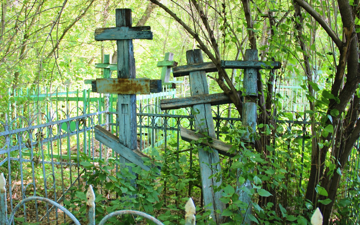 фото из интернета