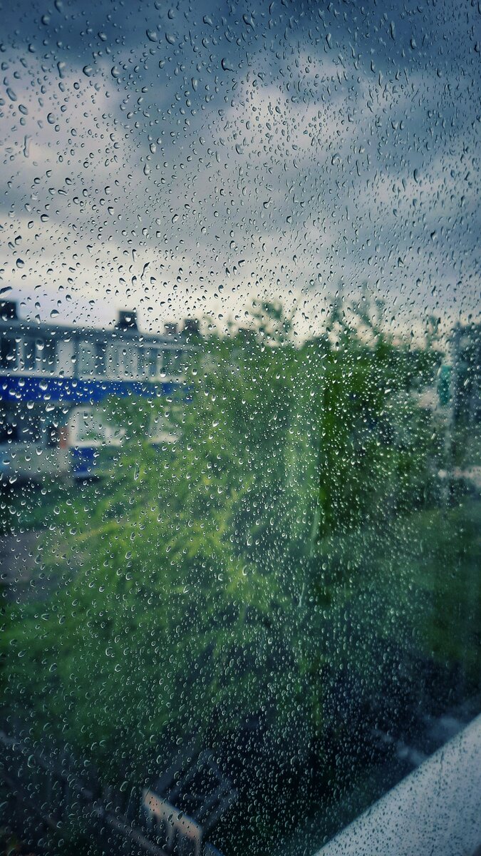 Вчерашнее утро наше дождливое