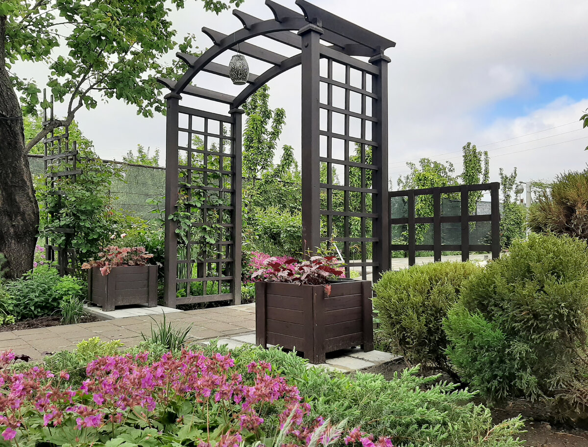 В цветнике у дома 2 фото