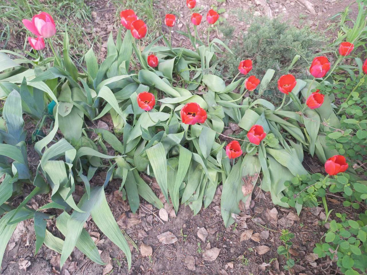 Фото автора.