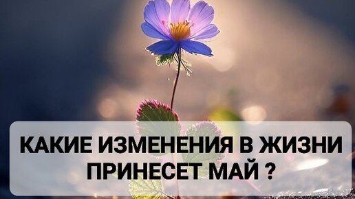 КАКИЕ ИЗМЕНЕНИЯ В ЖИЗНИ ПРИНЕСЕТ МАЙ ?