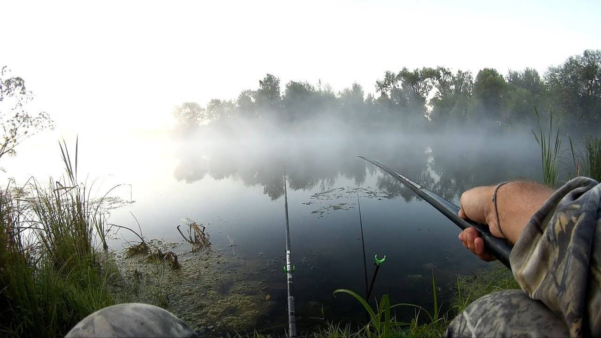 Фото с сайта: https://profrybolov.ru