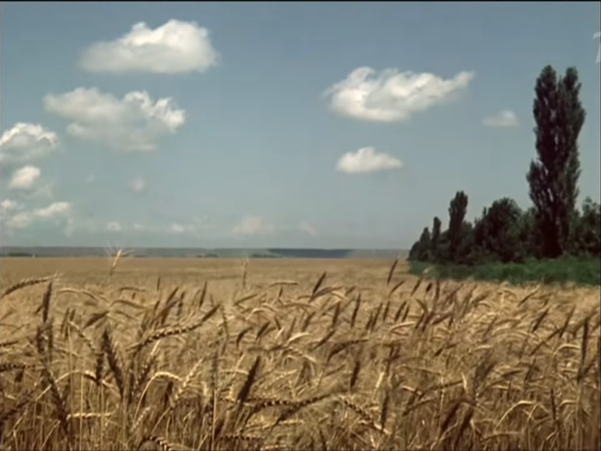 Фильм «Кубанские казаки»