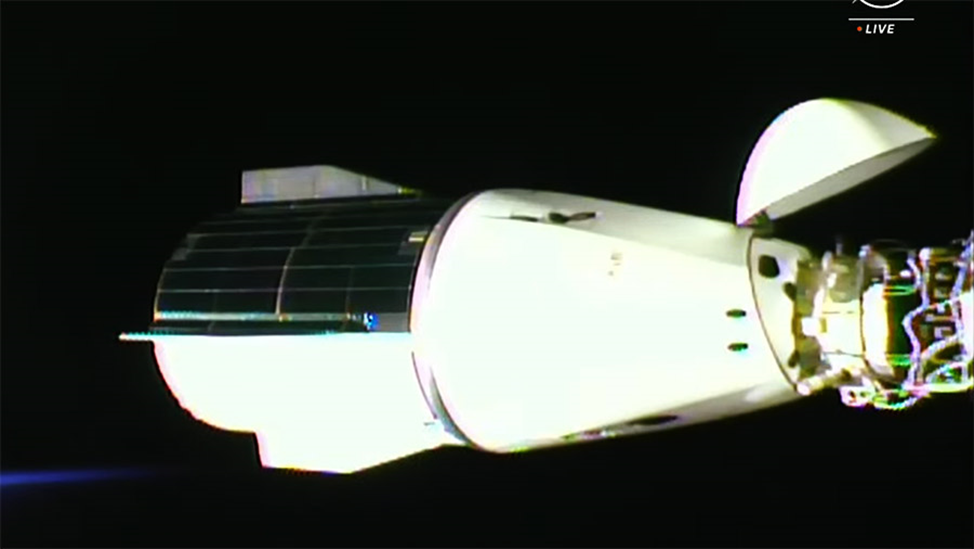 ПКК Dragon Crew-8 перед перестыковкой. Фото: NASA-TV