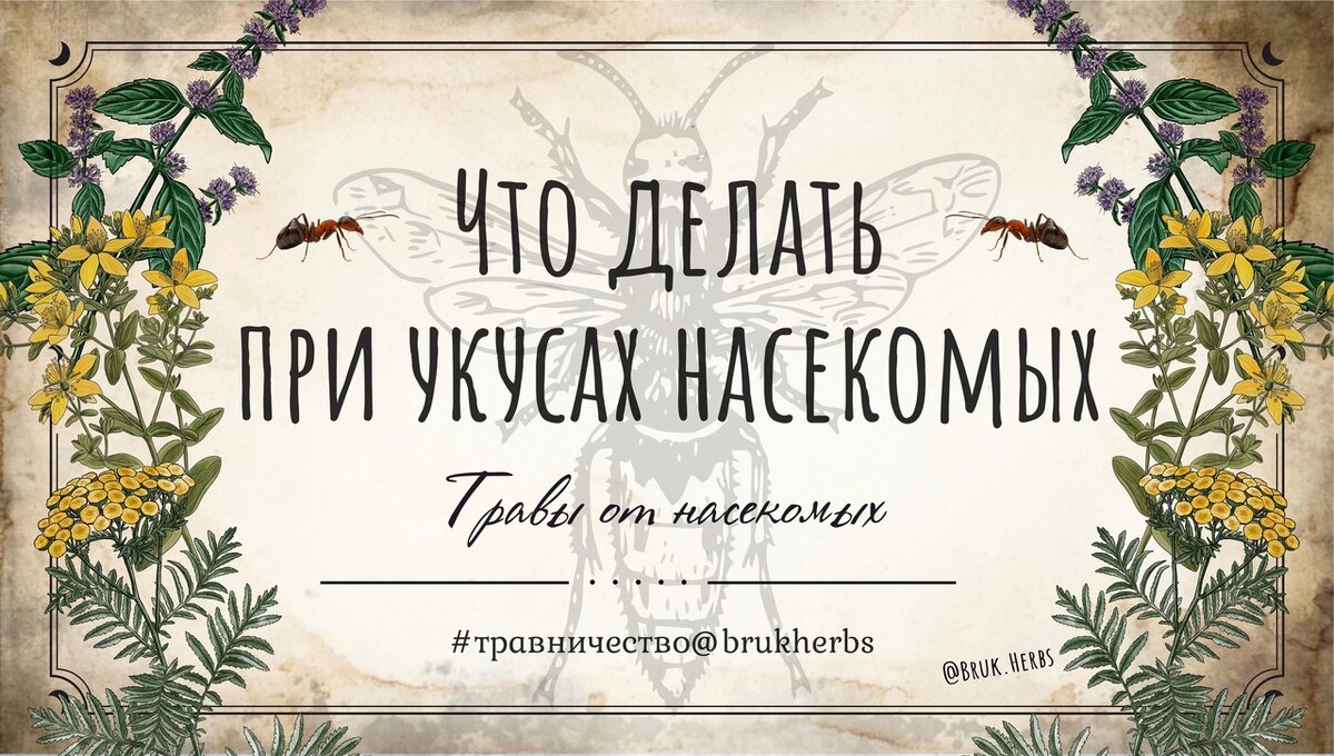 Дизайн @bruk.herbs