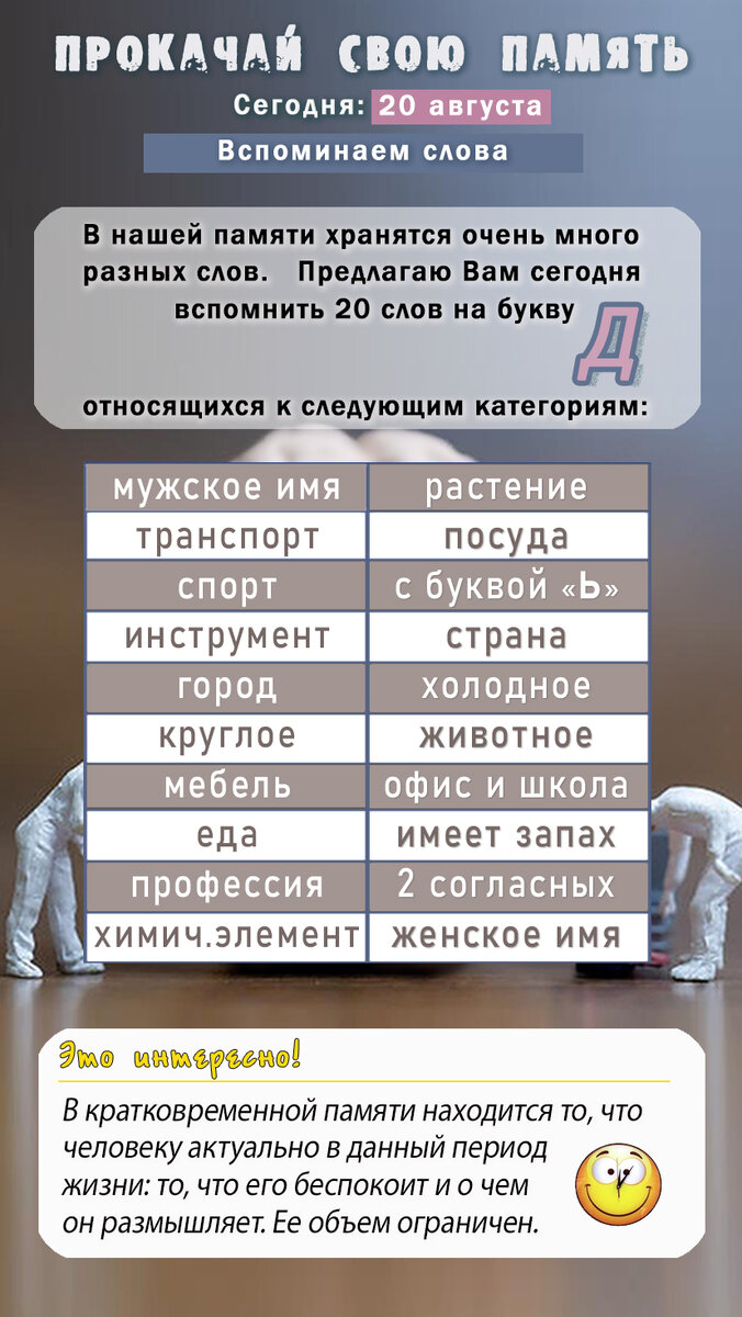 Прокачай свою память и словарный запас | Прокачай свою память | Дзен