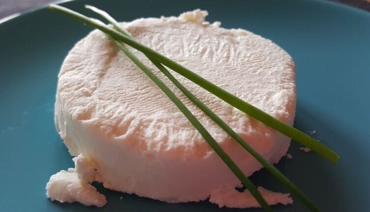    Как приготовить необычный козий сыр? Фото: по лицензии PxHere.com