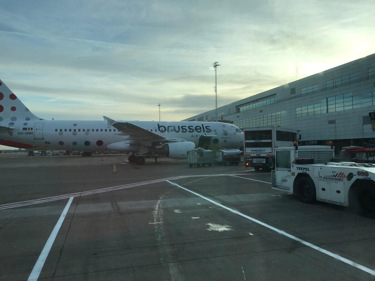 На тот же самый рейс билеты у Брюссельских авиалингий оказались чуть дешевле, чем у Люфтганзы