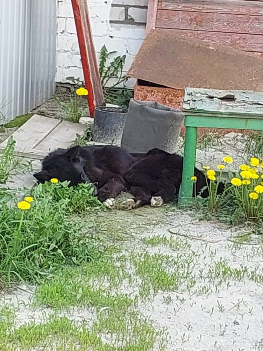 Так и лежала там… 