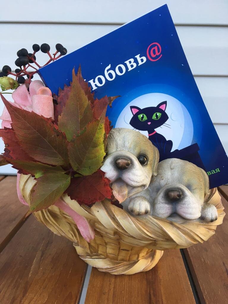 Фото автора. Книга Любовь@, информация после статьи