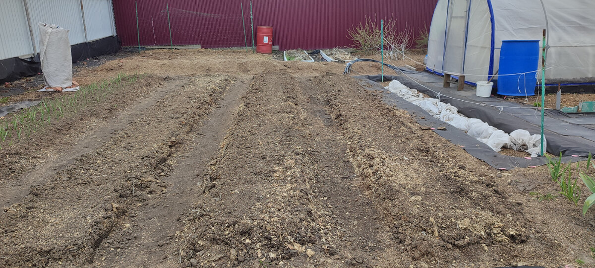 Теперь можно в любое время сажать/сеять