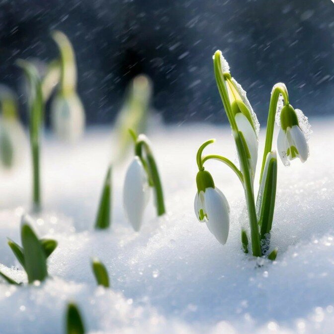 Фото сгенерировано Шедеврум 