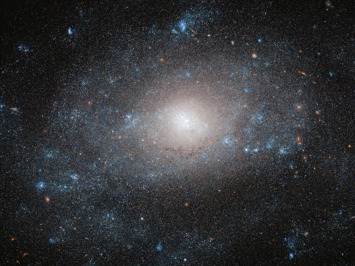    Спиральная галактика NGC 5585 в созвездии Большая МедведицаCC BY 4.0 / ESA/Hubble & NASA, R. Tully /