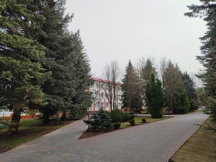    Подвои яблонь с устойчивостью к бактериальному ожогу создают российские ученые