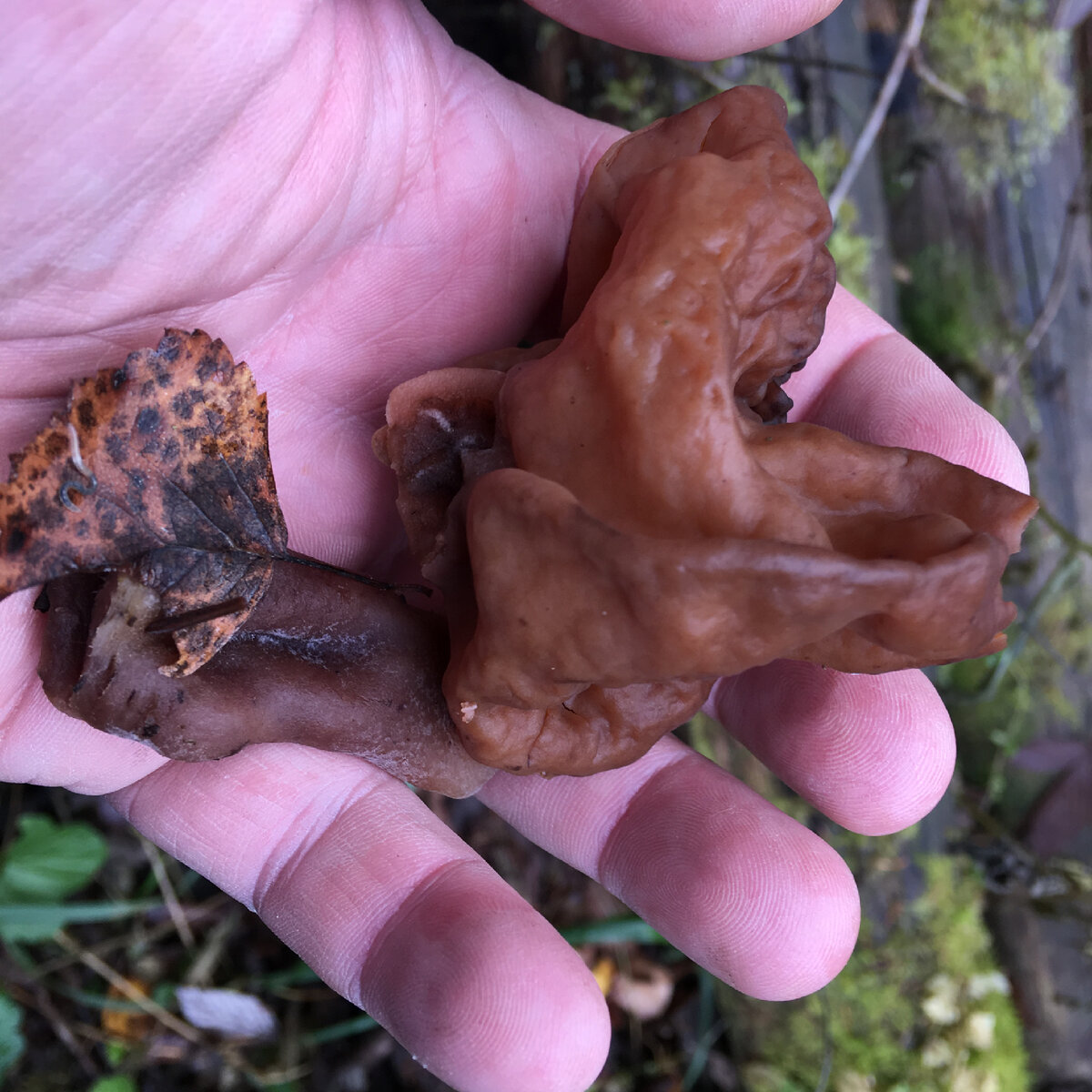 Осенние строчки осенью 