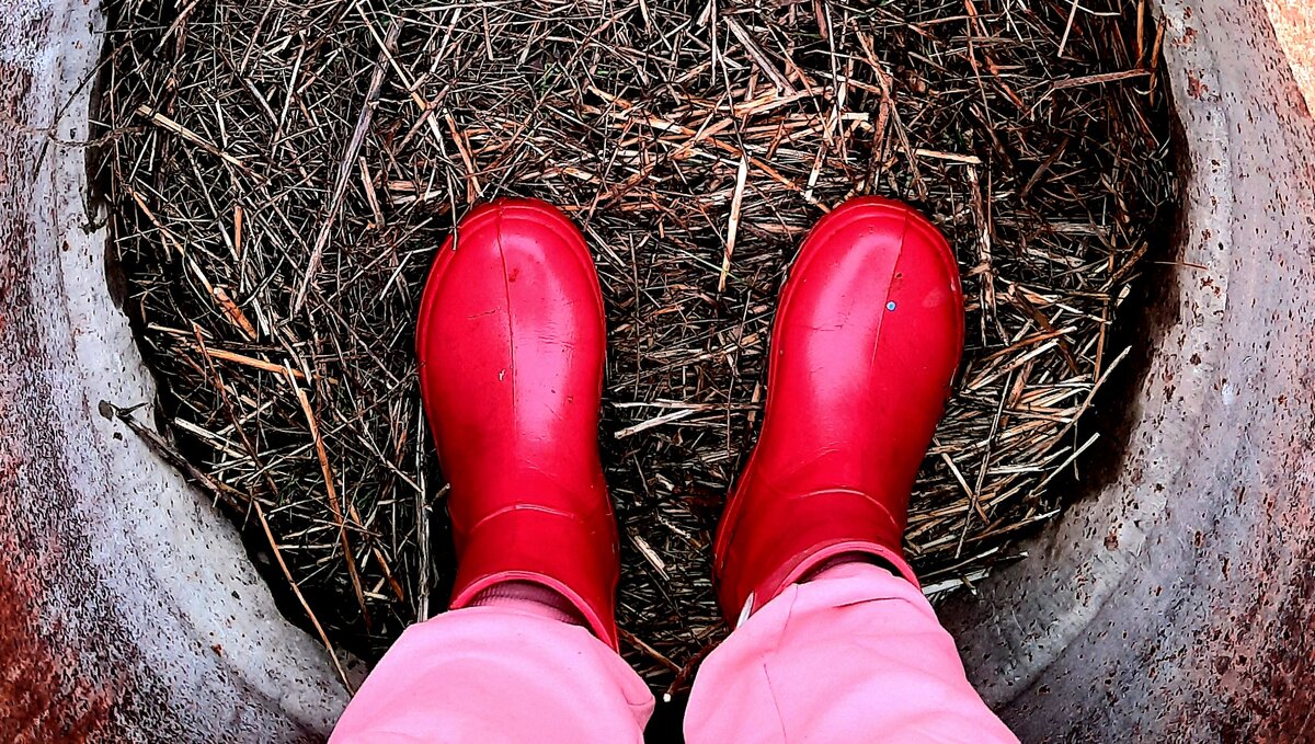 Фото автора.