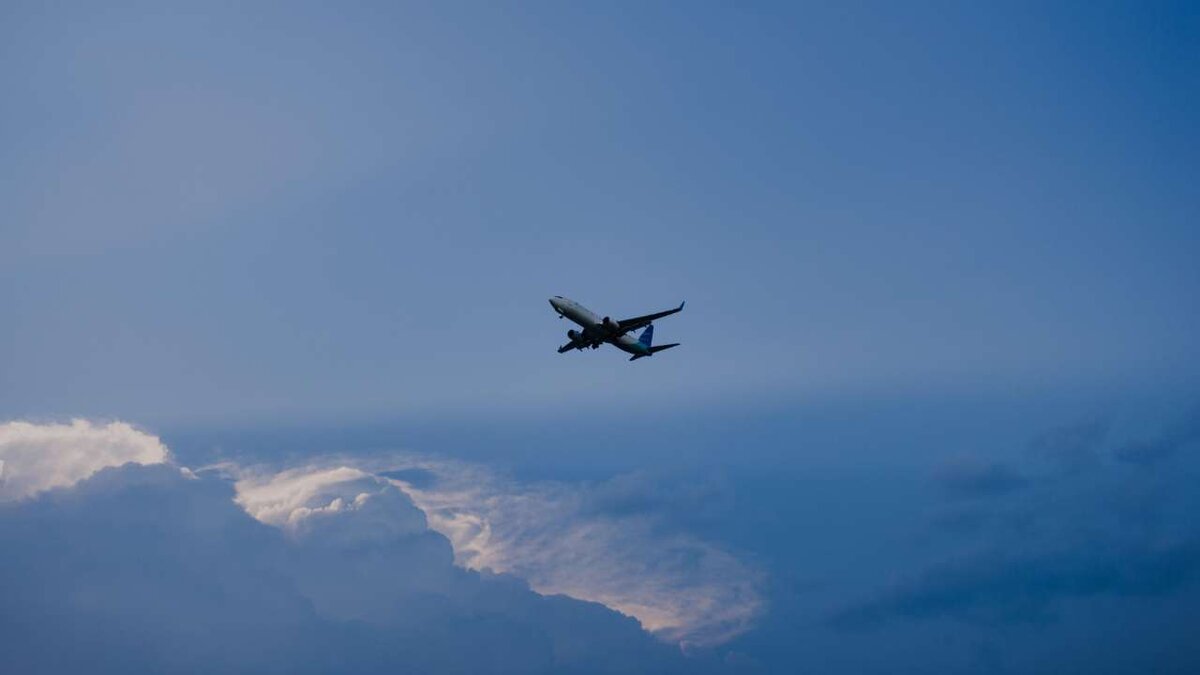    Самолет рейса Москва - Оренбург подал сигнал тревоги и изменил маршрут